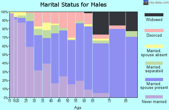Zip code 29153 marital status for males