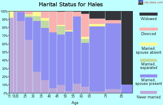 Zip code 29154 marital status for males