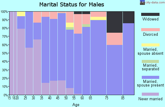 Zip code 29160 marital status for males