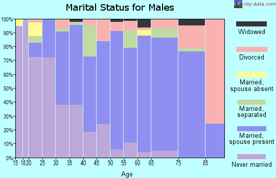 Zip code 29161 marital status for males