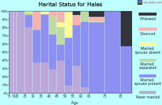 Zip code 29162 marital status for males