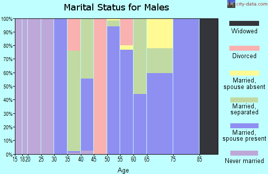 Zip code 29163 marital status for males