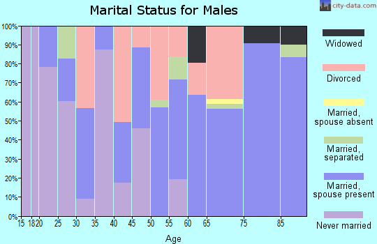Zip code 29164 marital status for males
