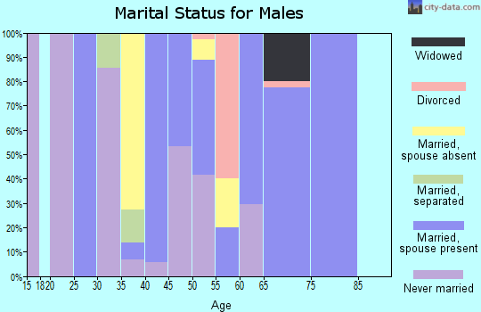 Zip code 29166 marital status for males