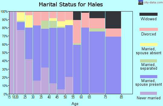 Zip code 29172 marital status for males