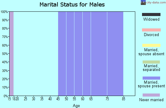 Zip code 29175 marital status for males