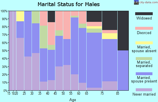 Zip code 29178 marital status for males