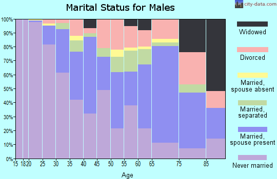 Zip code 29201 marital status for males