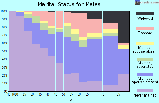 Zip code 29203 marital status for males