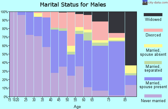 Zip code 29204 marital status for males