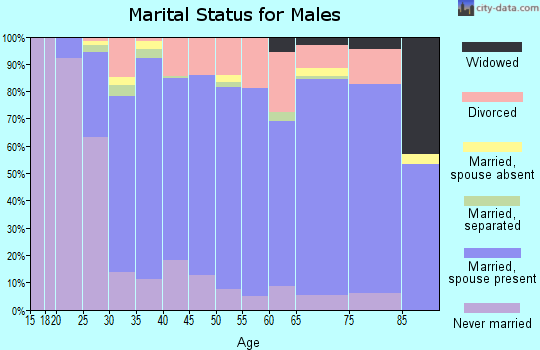 Zip code 29206 marital status for males