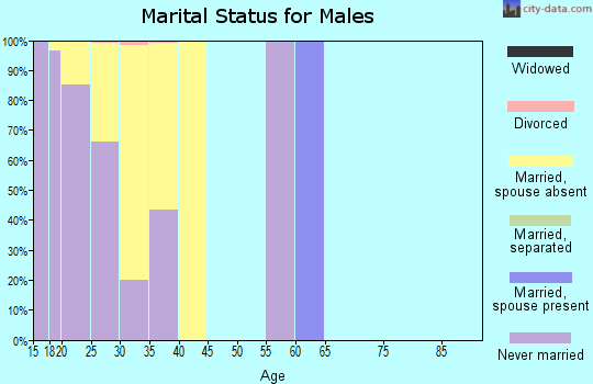 Zip code 29207 marital status for males