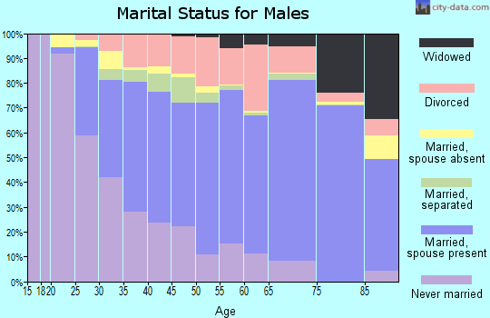 Zip code 29209 marital status for males