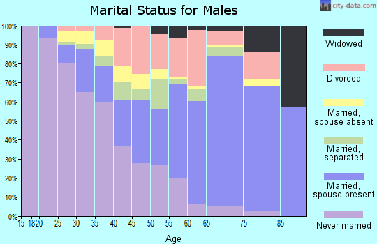 Zip code 29210 marital status for males