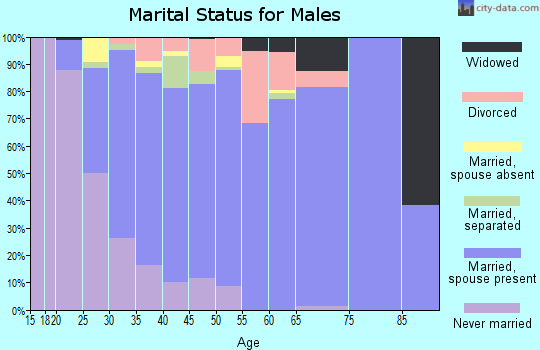 Zip code 29229 marital status for males