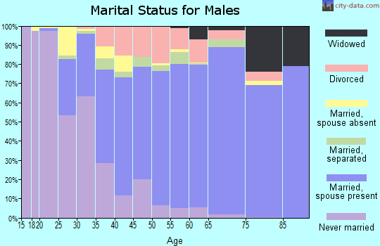 Zip code 29301 marital status for males