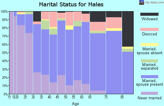 Zip code 29307 marital status for males