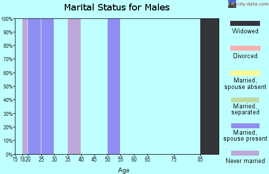 Zip code 29320 marital status for males