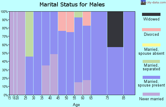 Zip code 29321 marital status for males