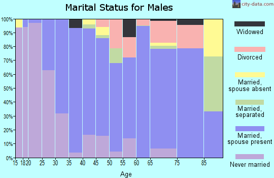 Zip code 29322 marital status for males