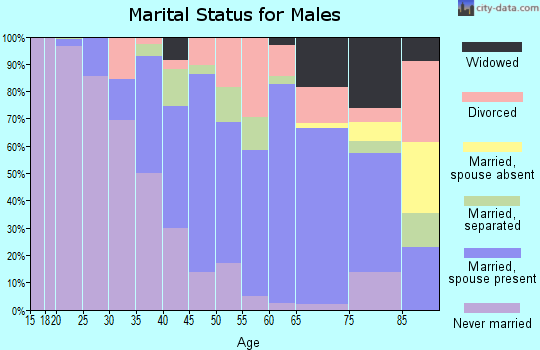 Zip code 29325 marital status for males
