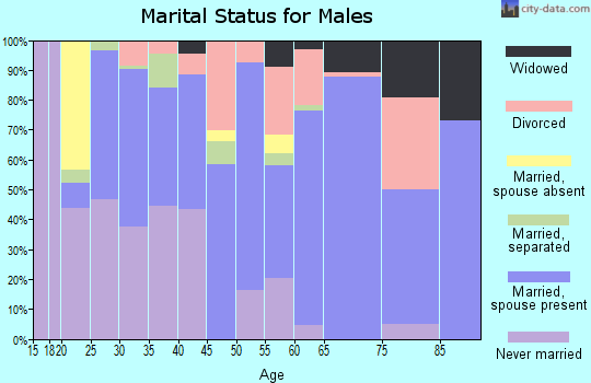 Zip code 29330 marital status for males