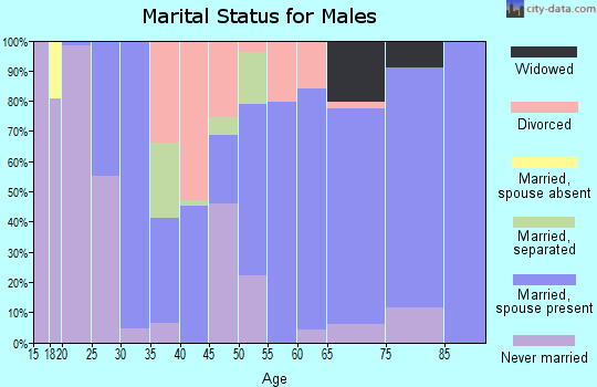 Zip code 29332 marital status for males