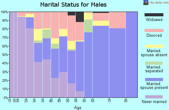 Zip code 29335 marital status for males