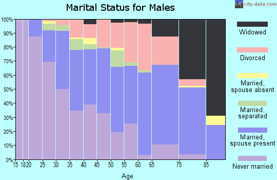 Zip code 29340 marital status for males