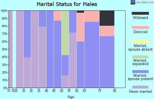 Zip code 29351 marital status for males