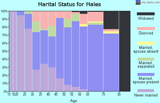 Zip code 29356 marital status for males