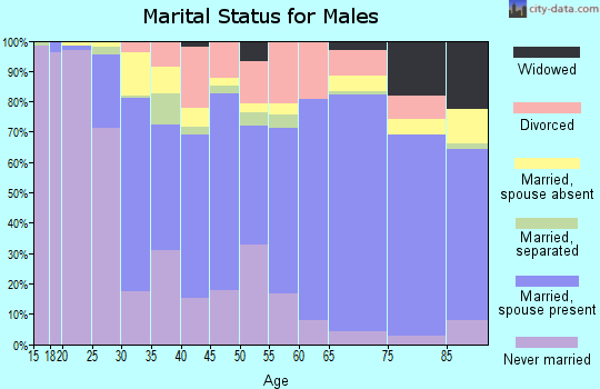 Zip code 29360 marital status for males