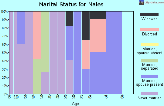 Zip code 29364 marital status for males