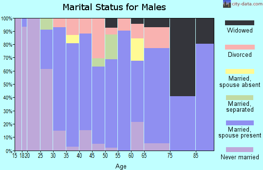 Zip code 29365 marital status for males