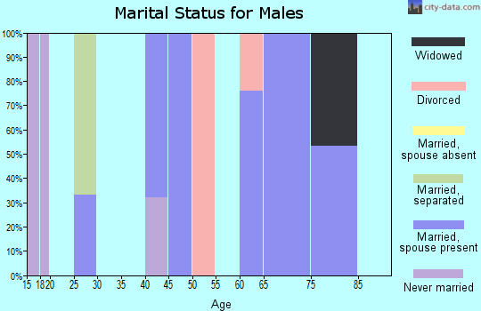 Zip code 29370 marital status for males