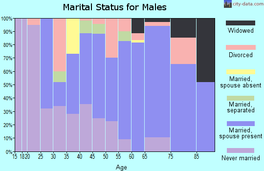 Zip code 29372 marital status for males
