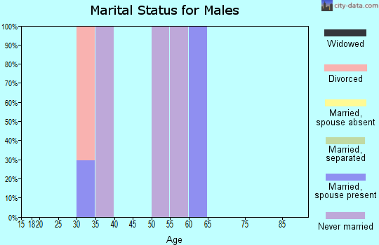 Zip code 29373 marital status for males