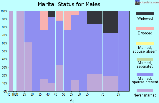 Zip code 29374 marital status for males
