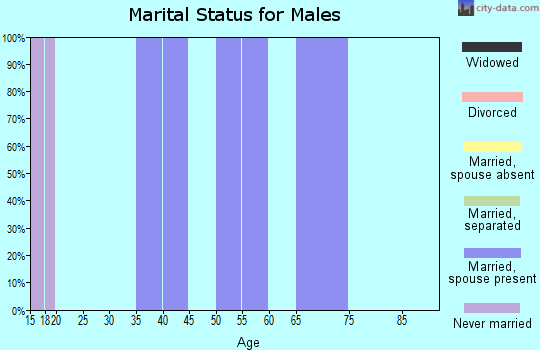Zip code 29375 marital status for males