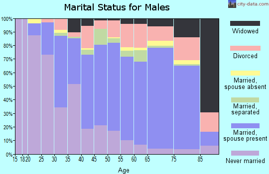 Zip code 29379 marital status for males