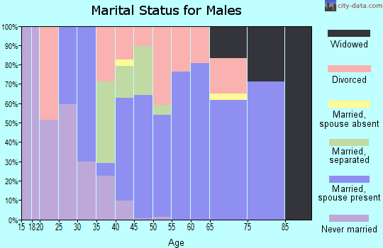 Zip code 29384 marital status for males