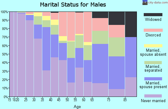 Zip code 29403 marital status for males