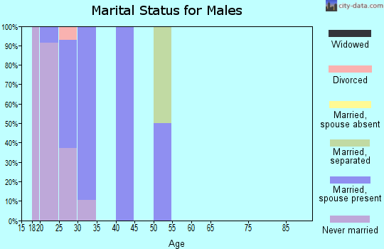 Zip code 29404 marital status for males