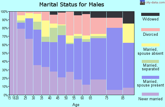 Zip code 29406 marital status for males