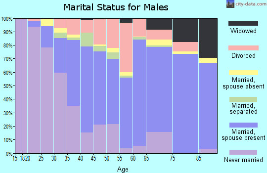 Zip code 29412 marital status for males
