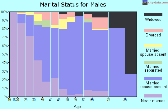 Zip code 29420 marital status for males