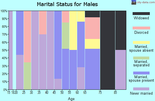 Zip code 29426 marital status for males