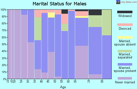 Zip code 29429 marital status for males