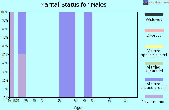 Zip code 29430 marital status for males