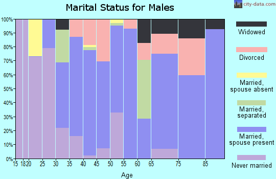 Zip code 29431 marital status for males